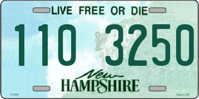 NH license plate 1103250