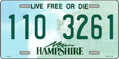 NH license plate 1103261