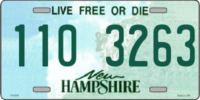 NH license plate 1103263