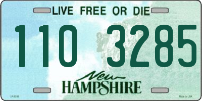 NH license plate 1103285