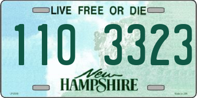 NH license plate 1103323