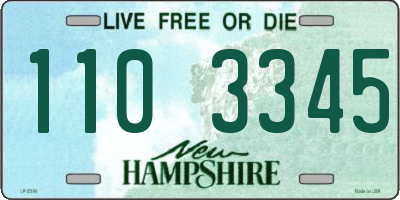 NH license plate 1103345