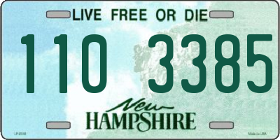 NH license plate 1103385