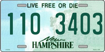 NH license plate 1103403