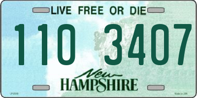NH license plate 1103407