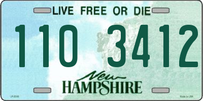 NH license plate 1103412