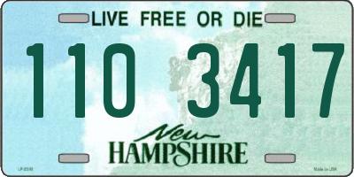 NH license plate 1103417