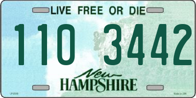 NH license plate 1103442