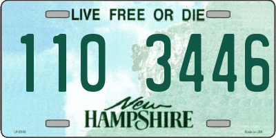 NH license plate 1103446