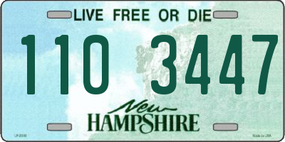 NH license plate 1103447