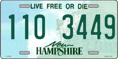 NH license plate 1103449