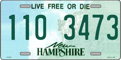 NH license plate 1103473
