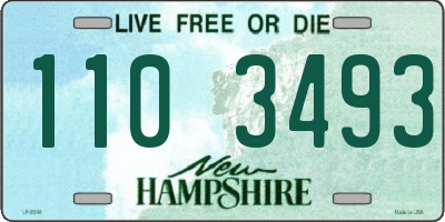 NH license plate 1103493