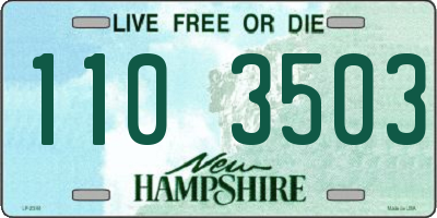 NH license plate 1103503