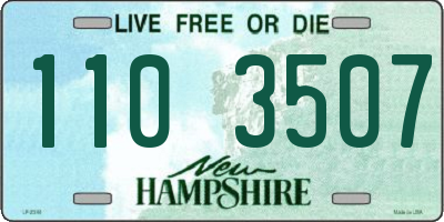NH license plate 1103507