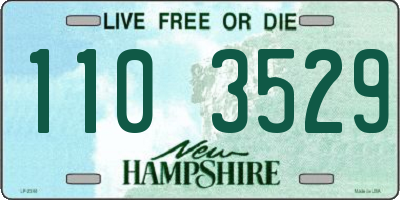 NH license plate 1103529