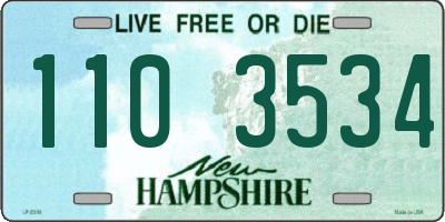 NH license plate 1103534