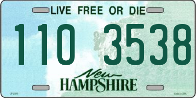 NH license plate 1103538