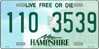NH license plate 1103539