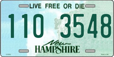 NH license plate 1103548
