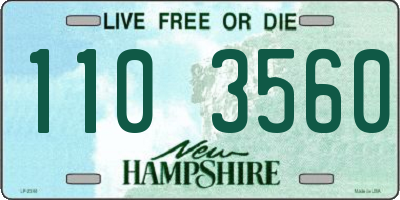 NH license plate 1103560