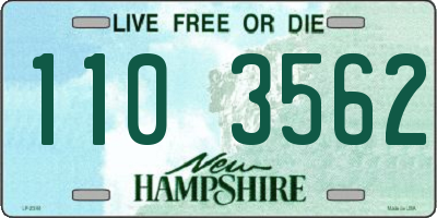 NH license plate 1103562