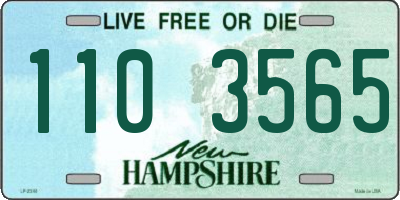 NH license plate 1103565
