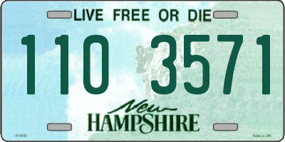 NH license plate 1103571