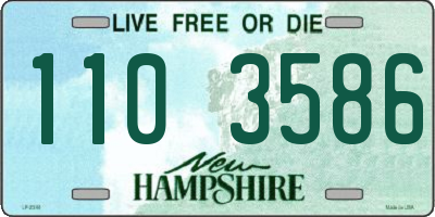 NH license plate 1103586