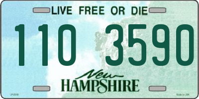 NH license plate 1103590