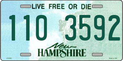 NH license plate 1103592