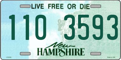 NH license plate 1103593