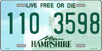 NH license plate 1103598