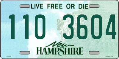 NH license plate 1103604