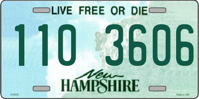 NH license plate 1103606
