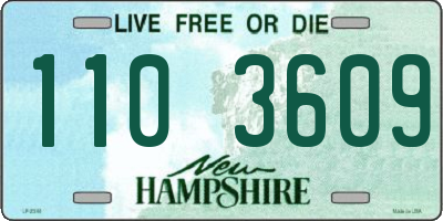 NH license plate 1103609