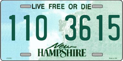 NH license plate 1103615