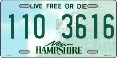 NH license plate 1103616