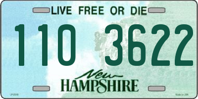 NH license plate 1103622