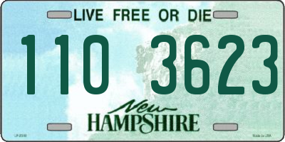 NH license plate 1103623