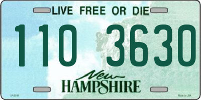 NH license plate 1103630