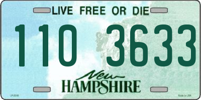NH license plate 1103633