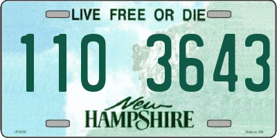 NH license plate 1103643