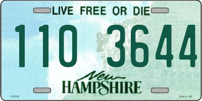 NH license plate 1103644
