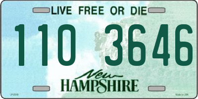 NH license plate 1103646