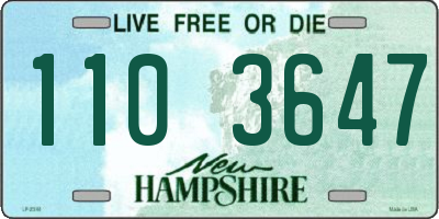 NH license plate 1103647