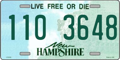 NH license plate 1103648