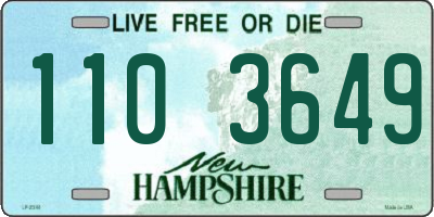 NH license plate 1103649