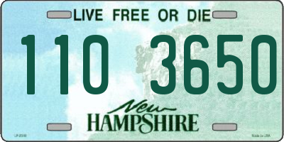 NH license plate 1103650