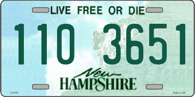 NH license plate 1103651